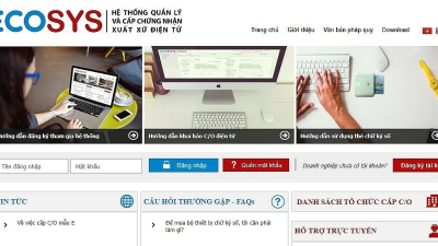 Chứng nhận xuất xứ C/O: ‘Át chủ bài’ tiếp cận ưu đãi thuế từ EVFTA