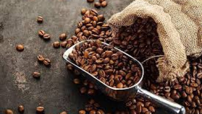 Hoa Kỳ chính thức miễn thuế đối ứng với nhiều loại nông sản