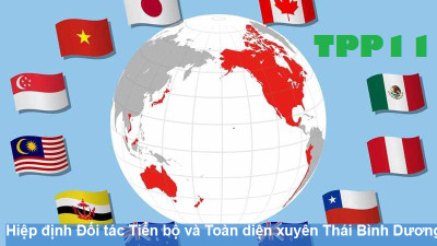 Xuất khẩu bằng thương hiệu riêng: Chìa khóa khai thác CPTPP