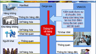 Kế hoạch triển khai hệ thống hải quan tự động tại các cảng, kho, bãi