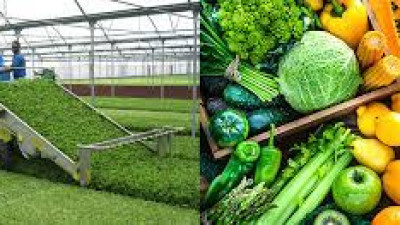 Mời tham dự giao thương, kết nối Việt Nam - Ấn Độ đối với mặt hàng nông sản và thực phẩm chế biến