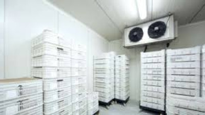 Các loại kho lạnh bảo quản cơ bản