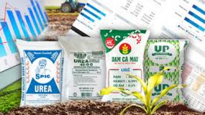 Tham khảo cơ cấu doanh nghiệp nhập khẩu phân bón 